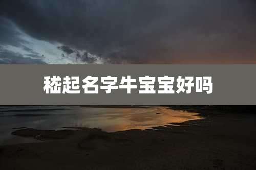 嵇起名字牛宝宝好吗