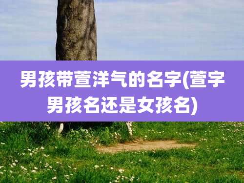 男孩带萱洋气的名字(萱字男孩名还是女孩名)