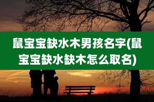 鼠宝宝缺水木男孩名字(鼠宝宝缺水缺木怎么取名)