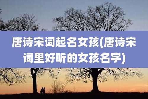 唐诗宋词起名女孩(唐诗宋词里好听的女孩名字)