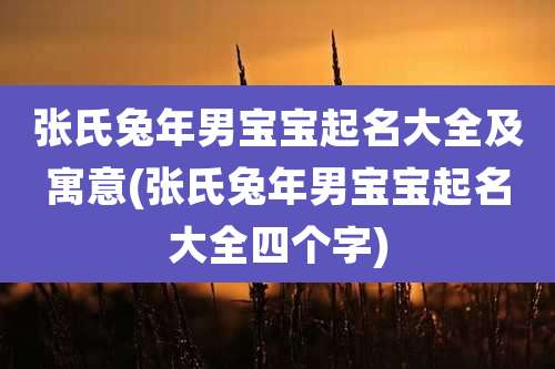 张氏兔年男宝宝起名大全及寓意(张氏兔年男宝宝起名大全四个字)