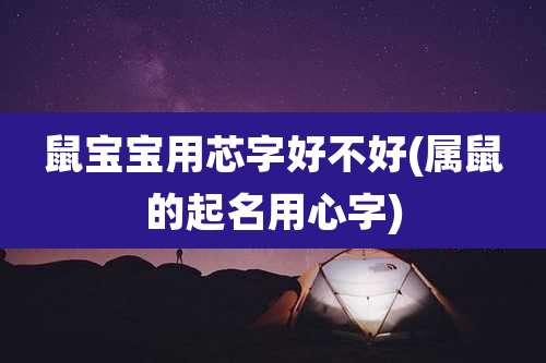 鼠宝宝用芯字好不好(属鼠的起名用心字)