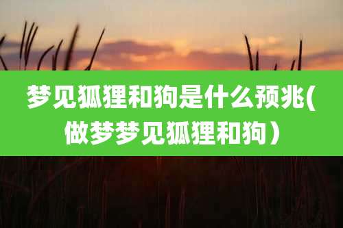 梦见狐狸和狗是什么预兆(做梦梦见狐狸和狗)