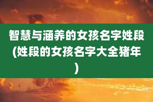 智慧与涵养的女孩名字姓段(姓段的女孩名字大全猪年)