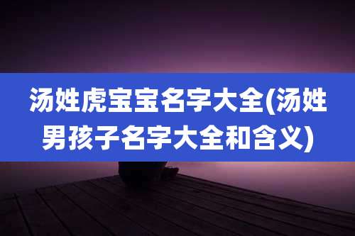 汤姓虎宝宝名字大全(汤姓男孩子名字大全和含义)