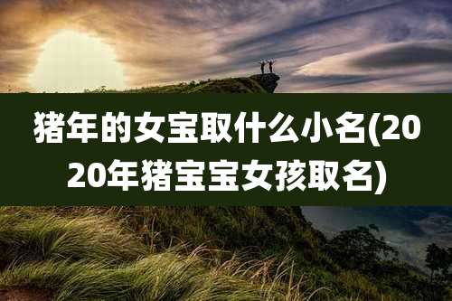 猪年的女宝取什么小名(2020年猪宝宝女孩取名)
