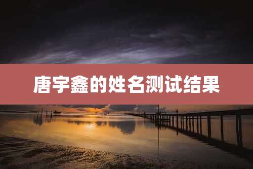 唐宇鑫的姓名测试结果