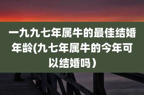 一九九七年属牛的最佳结婚年龄(九七年属牛的今年可以结婚吗)