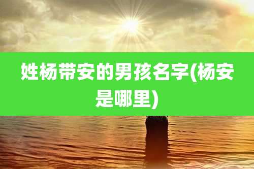 姓杨带安的男孩名字(杨安是哪里)