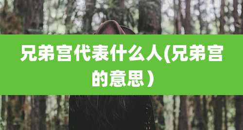 兄弟宫代表什么人(兄弟宫的意思）