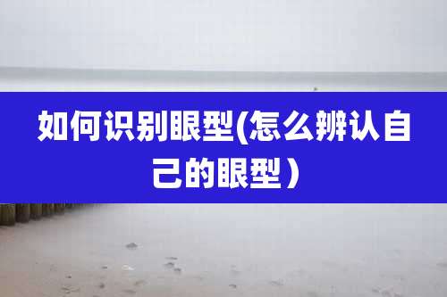 如何识别眼型(怎么辨认自己的眼型）