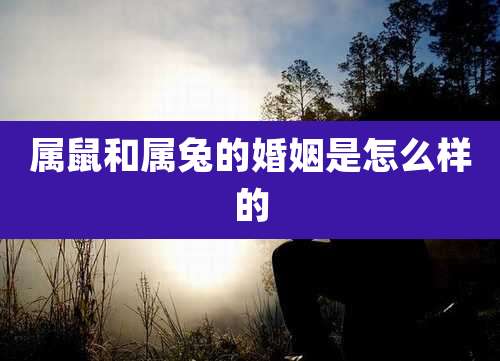 属鼠和属兔的婚姻是怎么样的