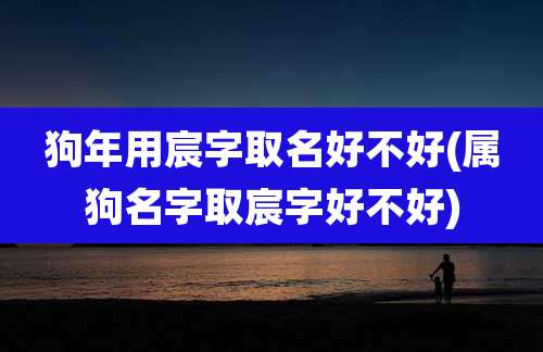 狗年用宸字取名好不好(属狗名字取宸字好不好)
