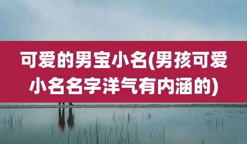 可爱的男宝小名(男孩可爱小名名字洋气有内涵的)