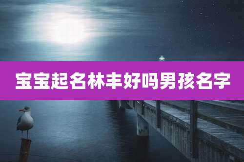 宝宝起名林丰好吗男孩名字