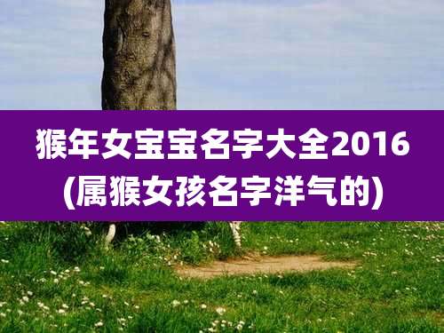 猴年女宝宝名字大全2016(属猴女孩名字洋气的)