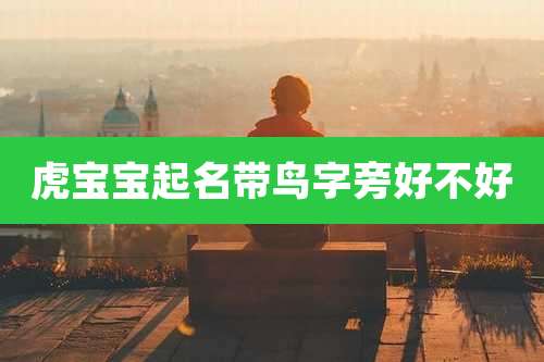 虎宝宝起名带鸟字旁好不好