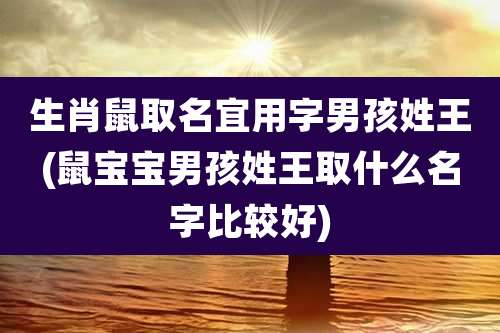 生肖鼠取名宜用字男孩姓王(鼠宝宝男孩姓王取什么名字比较好)