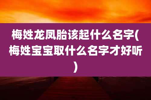 梅姓龙凤胎该起什么名字(梅姓宝宝取什么名字才好听)