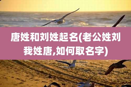 唐姓和刘姓起名(老公姓刘我姓唐,如何取名字)