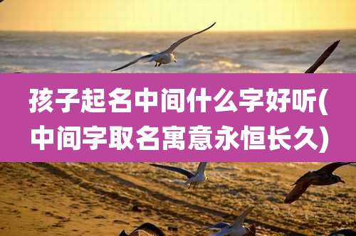 孩子起名中间什么字好听(中间字取名寓意永恒长久)