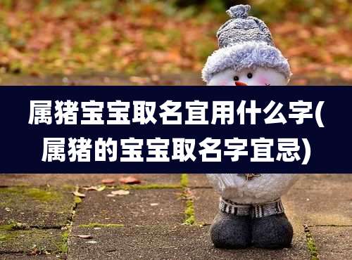 属猪宝宝取名宜用什么字(属猪的宝宝取名字宜忌)