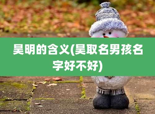 昊明的含义(昊取名男孩名字好不好)