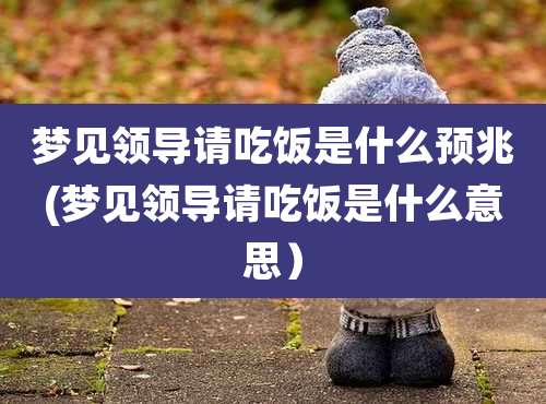 梦见领导请吃饭是什么预兆(梦见领导请吃饭是什么意思)