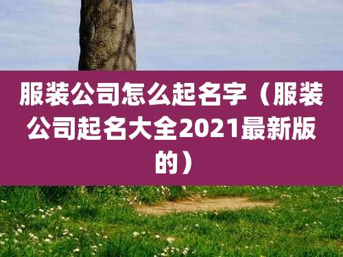 服装公司怎么起名字（服装公司起名大全2021最新版的）