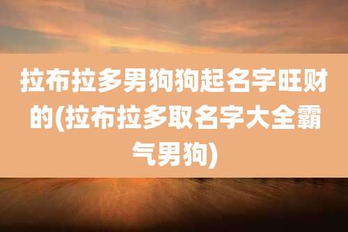 拉布拉多男狗狗起名字旺财的(拉布拉多取名字大全霸气男狗)