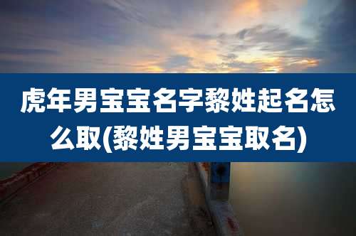 虎年男宝宝名字黎姓起名怎么取(黎姓男宝宝取名)