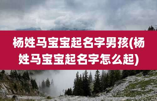 杨姓马宝宝起名字男孩(杨姓马宝宝起名字怎么起)