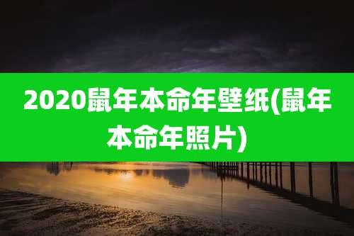 2020鼠年本命年壁纸(鼠年本命年照片)