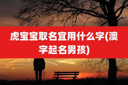 虎宝宝取名宜用什么字(澳字起名男孩)