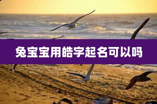 兔宝宝用皓字起名可以吗