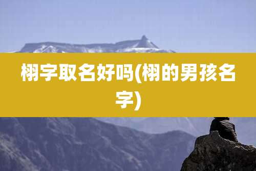 栩字取名好吗(栩的男孩名字)