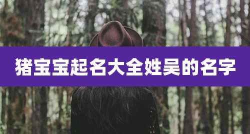 猪宝宝起名大全姓吴的名字