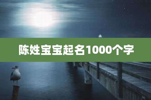 陈姓宝宝起名1000个字