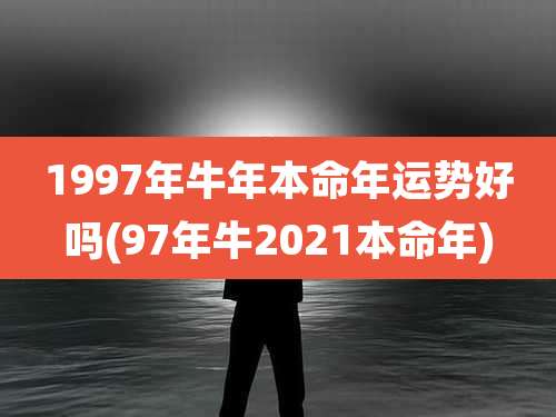1997年牛年本命年运势好吗(97年牛2021本命年)