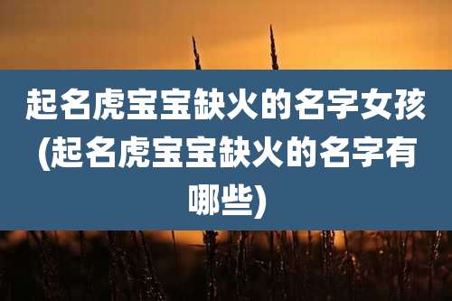 起名虎宝宝缺火的名字女孩(起名虎宝宝缺火的名字有哪些)