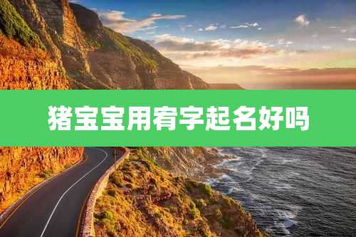 猪宝宝用宥字起名好吗