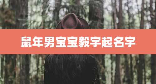 鼠年男宝宝毅字起名字