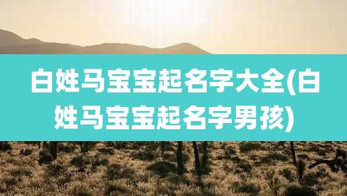 白姓马宝宝起名字大全(白姓马宝宝起名字男孩)