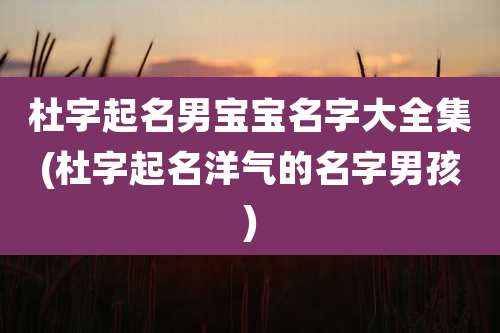 杜字起名男宝宝名字大全集(杜字起名洋气的名字男孩)