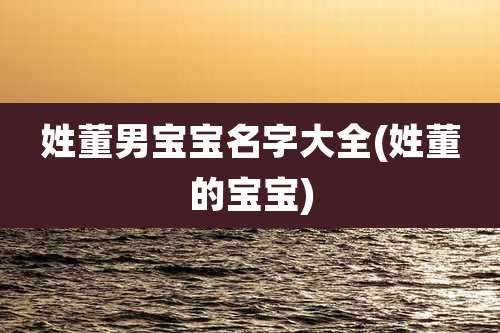姓董男宝宝名字大全(姓董的宝宝)