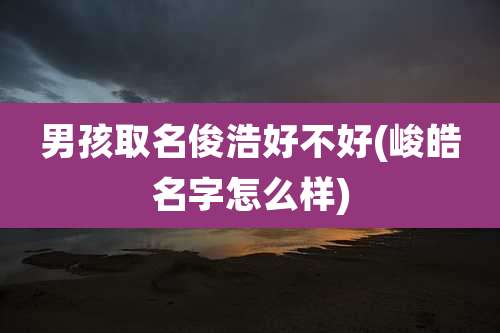 男孩取名俊浩好不好(峻皓名字怎么样)