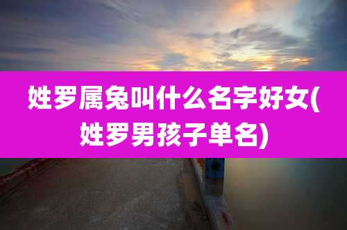 姓罗属兔叫什么名字好女(姓罗男孩子单名)