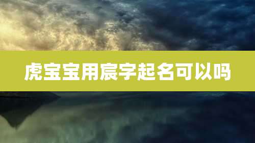 虎宝宝用宸字起名可以吗
