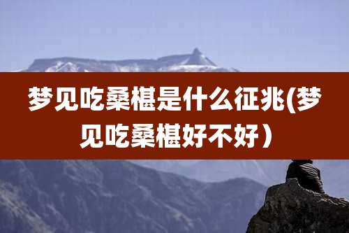 梦见吃桑椹是什么征兆(梦见吃桑椹好不好)