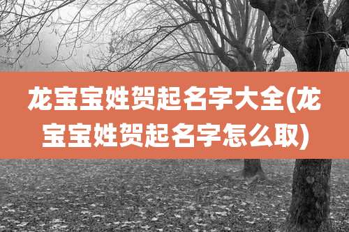 龙宝宝姓贺起名字大全(龙宝宝姓贺起名字怎么取)